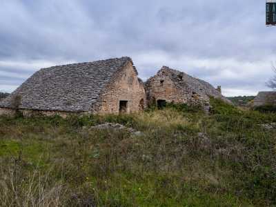 I pagliari non sono per� l�unica tipologia di struttura tipicamente rurale che punteggia l�agro barese. Girovagando per le campagne � possibile incontrare anche i lamioni e i palmenti. I primi, di dimensioni maggiori, a pianta rettangolare con tetto fortemente spiovente, erano adibiti a stalle o alla produzione del formaggio